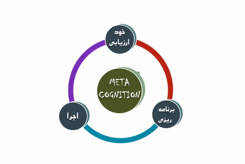 Metacognitive skills